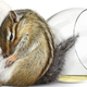 Illustration for article titled Let’s All Pee in the Face of the Dreaded New Year’s Day Hangover by Getting Super Wasted